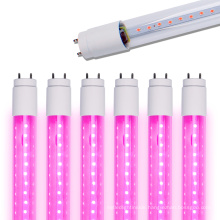 IP20 LED Tube Grow Light with High Quality